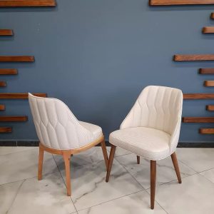 Cafe Berjer Modelleri 043